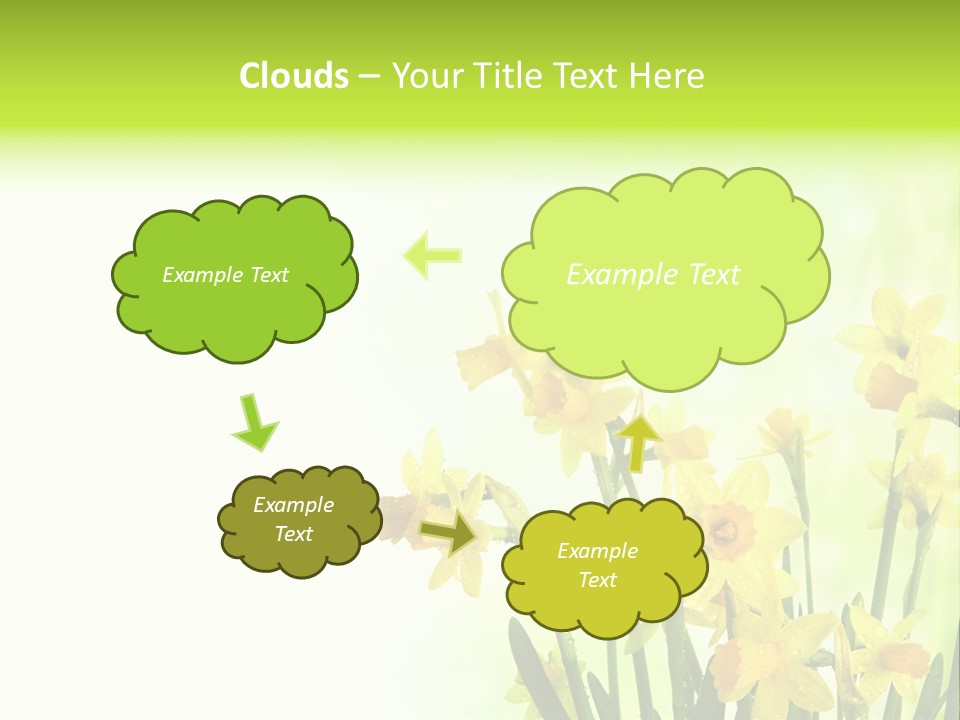 Narcissus Yellow Celebrate PowerPoint Template