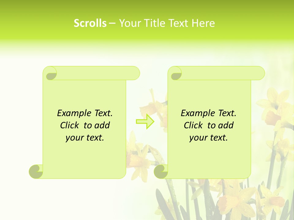 Narcissus Yellow Celebrate PowerPoint Template