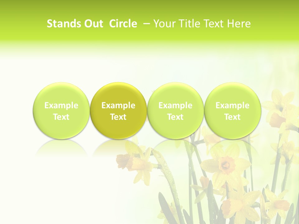 Narcissus Yellow Celebrate PowerPoint Template