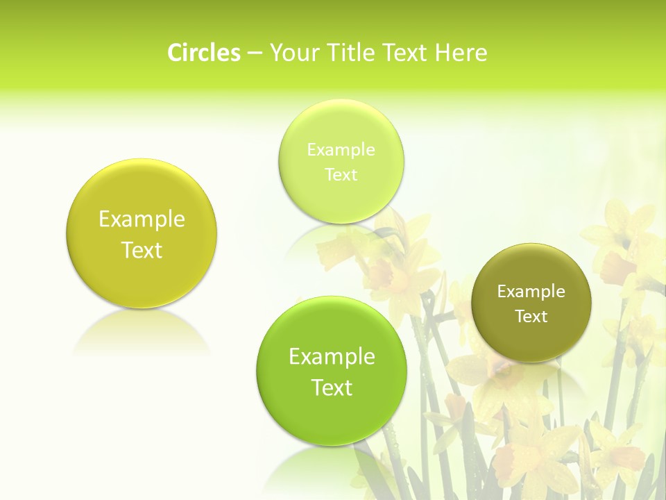 Narcissus Yellow Celebrate PowerPoint Template