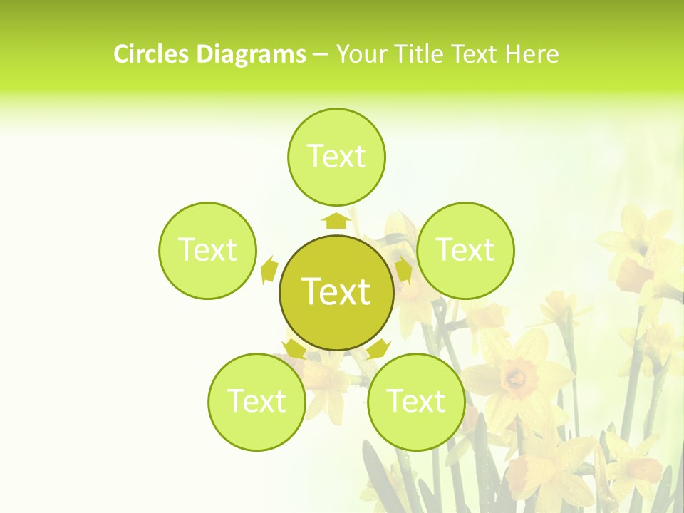 Narcissus Yellow Celebrate PowerPoint Template