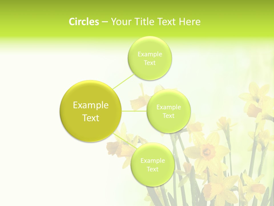 Narcissus Yellow Celebrate PowerPoint Template