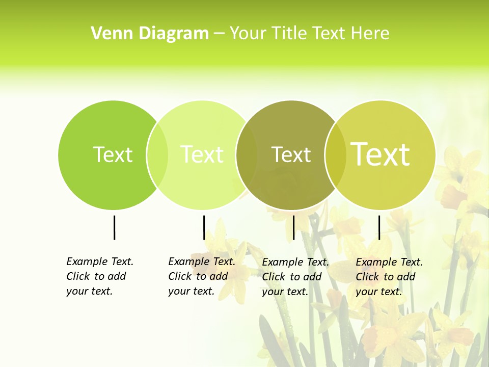 Narcissus Yellow Celebrate PowerPoint Template