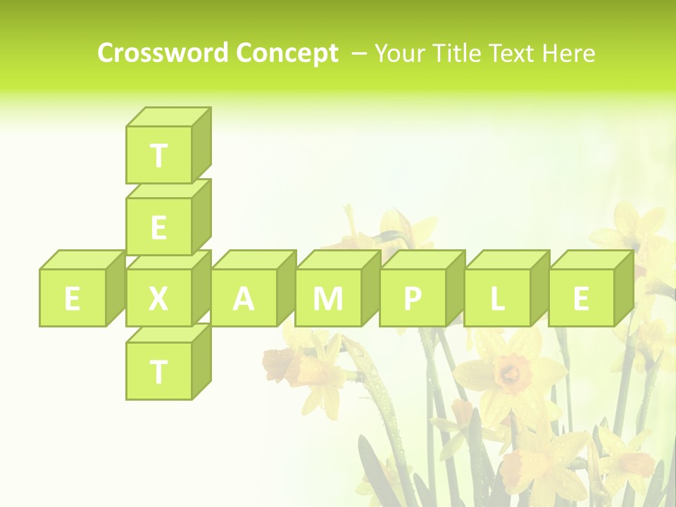 Narcissus Yellow Celebrate PowerPoint Template