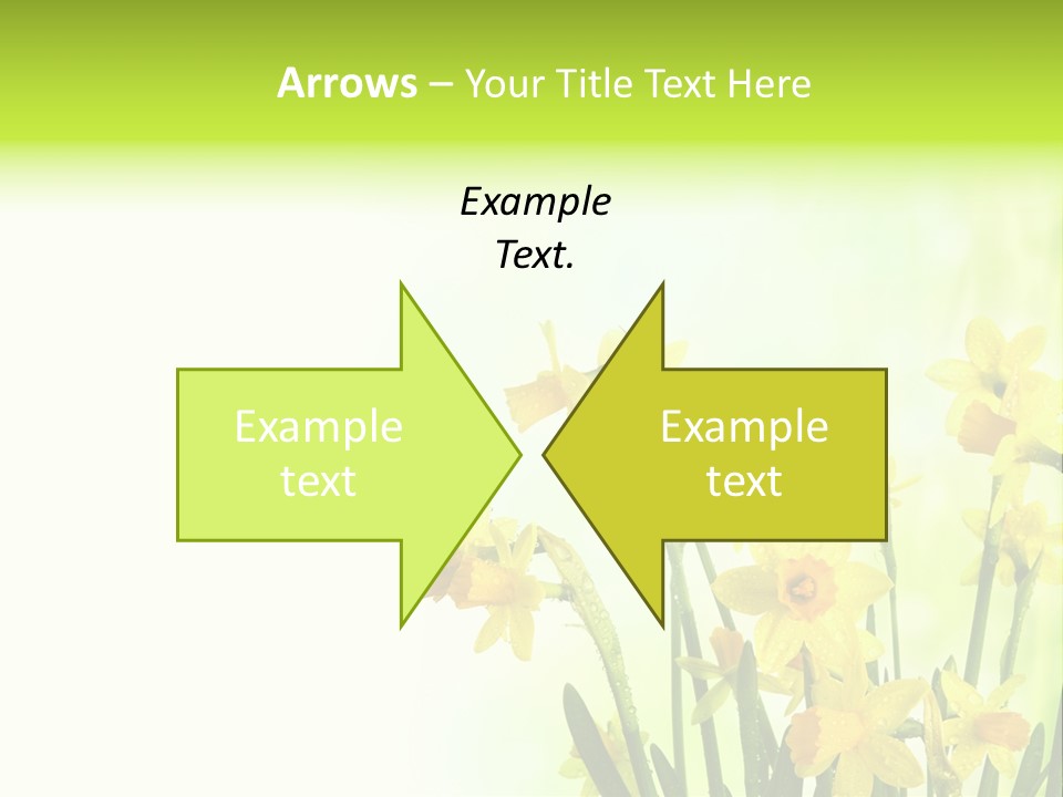 Narcissus Yellow Celebrate PowerPoint Template