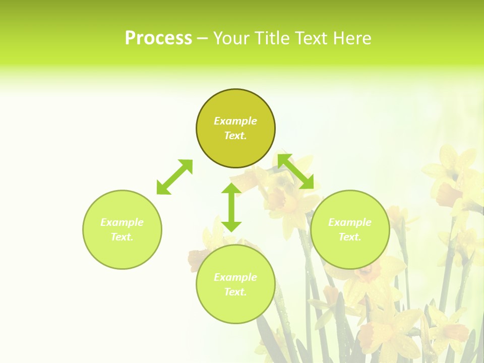 Narcissus Yellow Celebrate PowerPoint Template