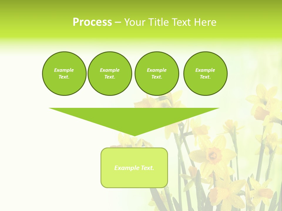 Narcissus Yellow Celebrate PowerPoint Template