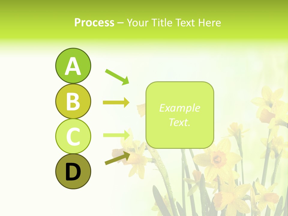 Narcissus Yellow Celebrate PowerPoint Template