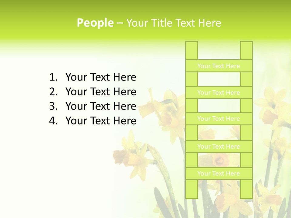 Narcissus Yellow Celebrate PowerPoint Template