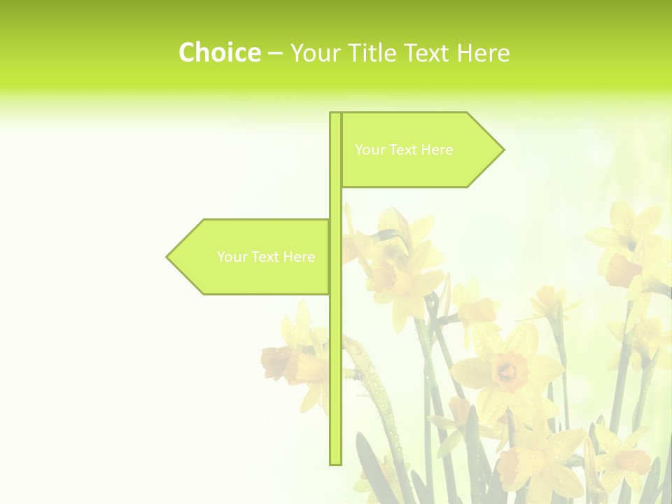 Narcissus Yellow Celebrate PowerPoint Template