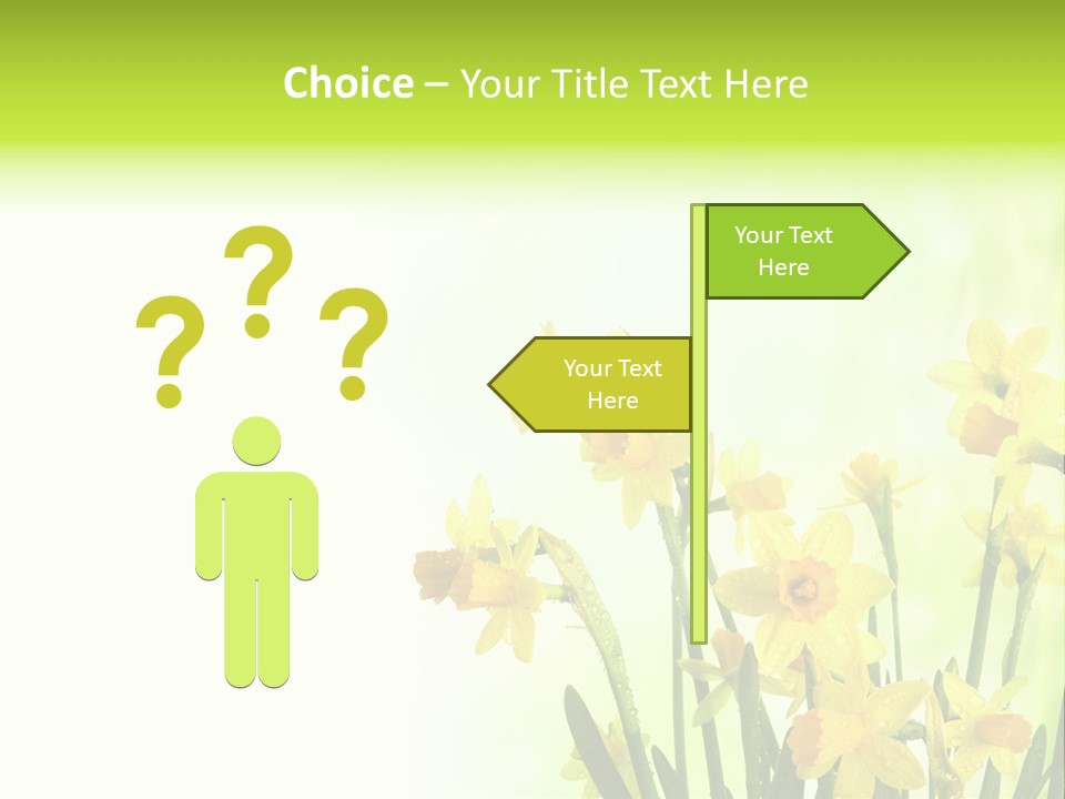 Narcissus Yellow Celebrate PowerPoint Template