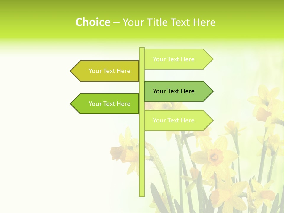 Narcissus Yellow Celebrate PowerPoint Template