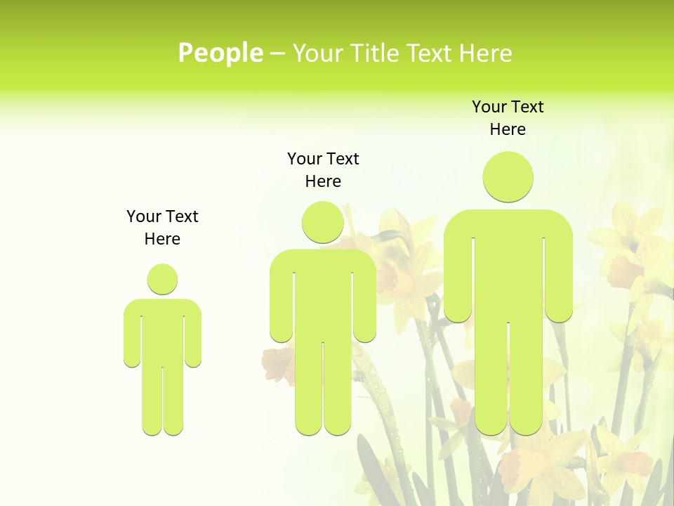 Narcissus Yellow Celebrate PowerPoint Template