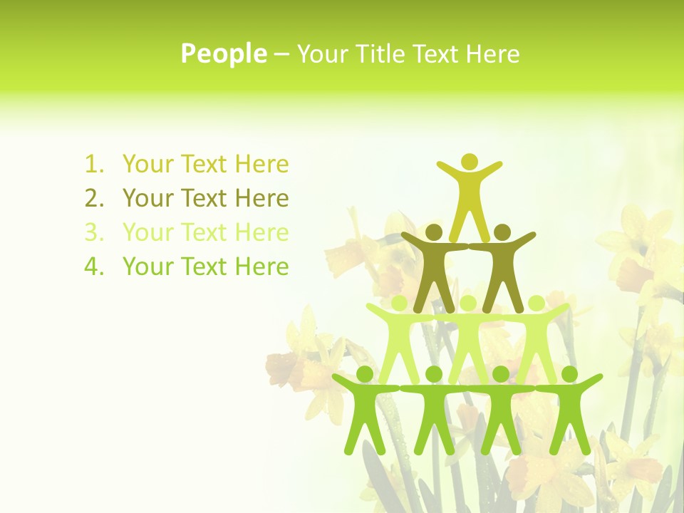 Narcissus Yellow Celebrate PowerPoint Template