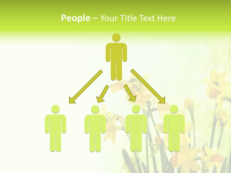 Narcissus Yellow Celebrate PowerPoint Template