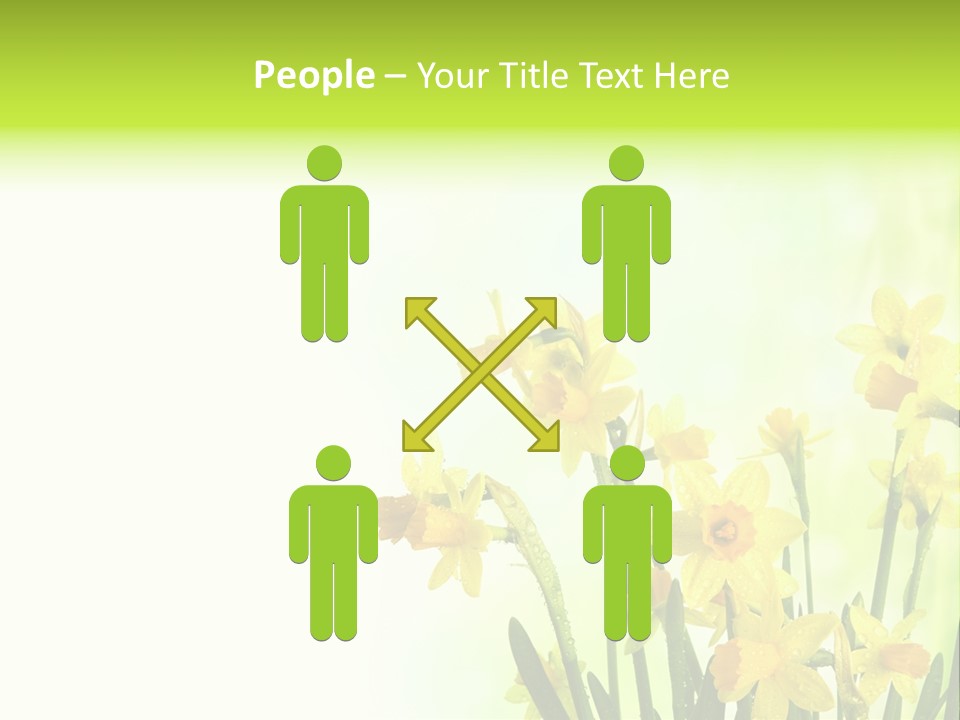 Narcissus Yellow Celebrate PowerPoint Template