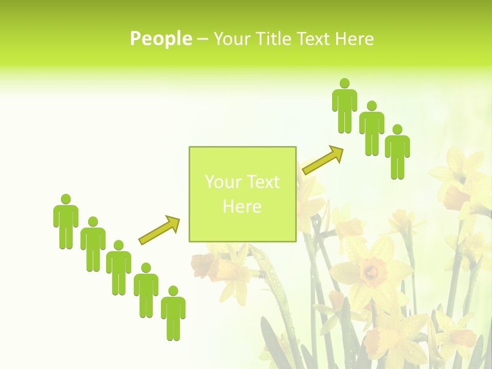 Narcissus Yellow Celebrate PowerPoint Template