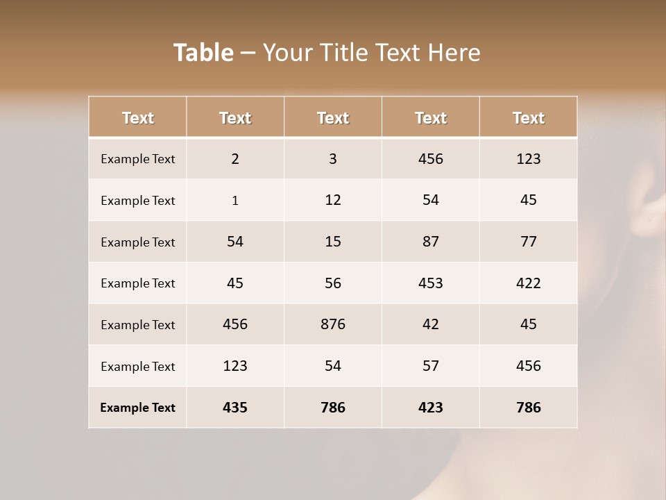 Grey Feather Smokey PowerPoint Template