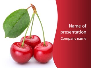 Cherry Juicy Berry PowerPoint Template