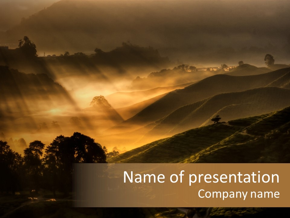 Sunrise Tea Scenery PowerPoint Template