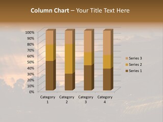 Sunrise Tea Scenery PowerPoint Template