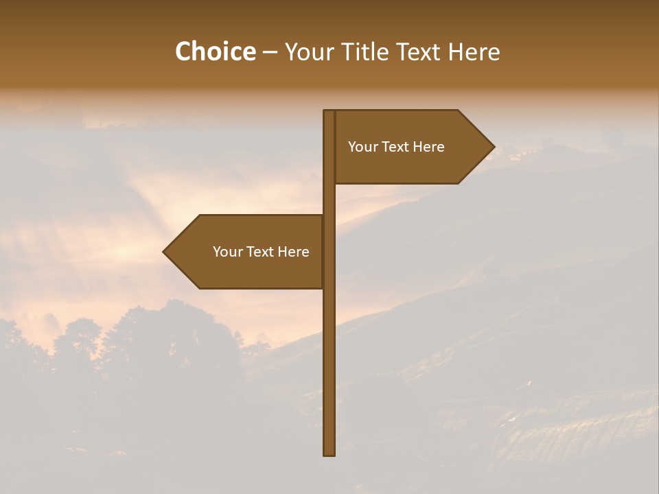 Sunrise Tea Scenery PowerPoint Template
