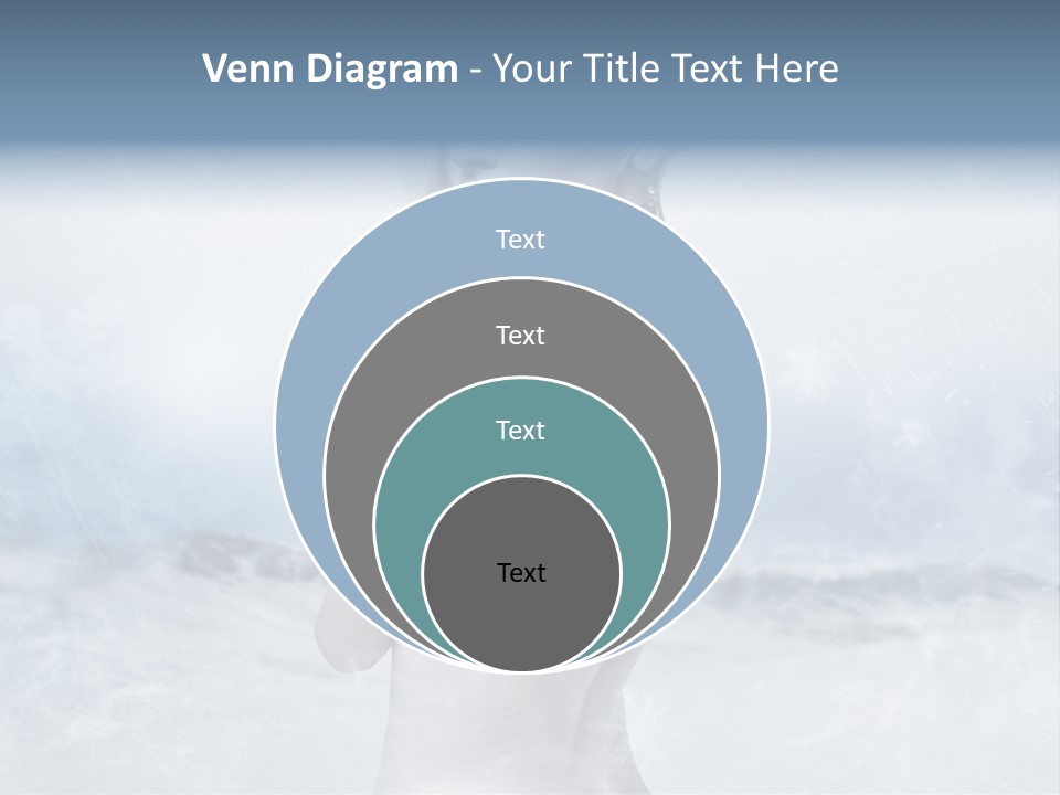 Back Snow Whiteness Snowflakes PowerPoint Template