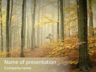 Scenic Romantic Pathway PowerPoint Template