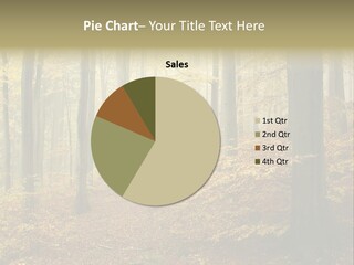 Scenic Romantic Pathway PowerPoint Template