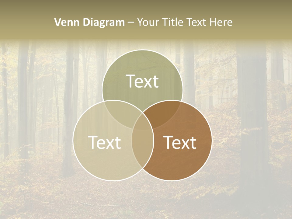 Scenic Romantic Pathway PowerPoint Template