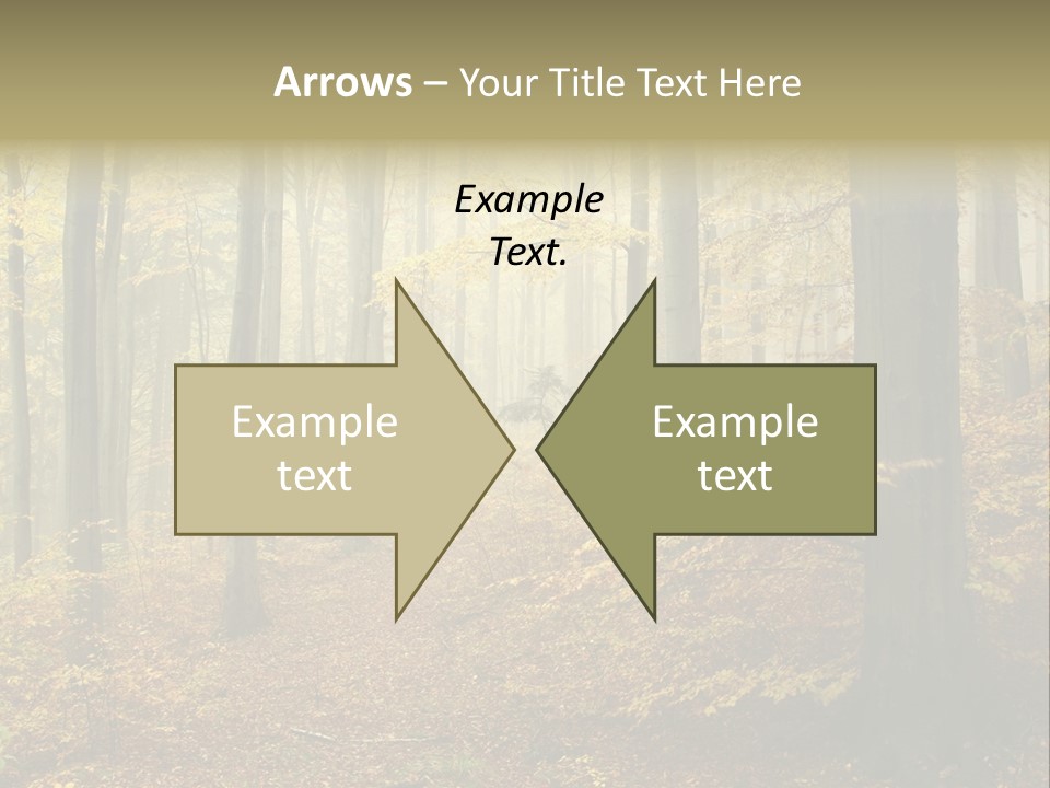 Scenic Romantic Pathway PowerPoint Template