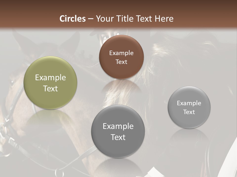 Horseback Overcoat Model PowerPoint Template