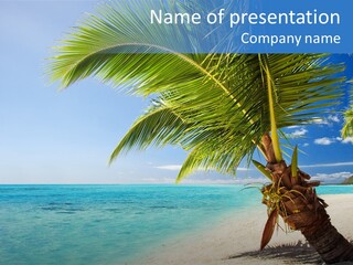Polynesia Thailand Recreation PowerPoint Template
