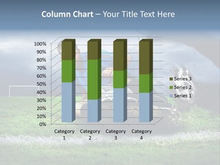 Stadium International Lifestyle PowerPoint Template