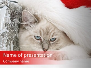 Lynx Girl Xmas PowerPoint Template