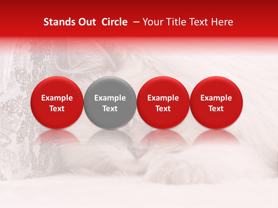 Lynx Girl Xmas PowerPoint Template