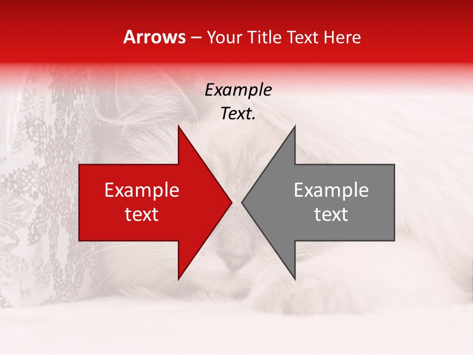 Lynx Girl Xmas PowerPoint Template