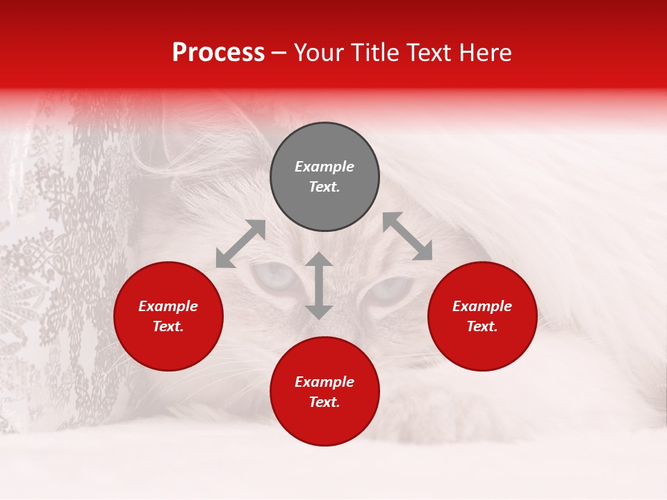 Lynx Girl Xmas PowerPoint Template