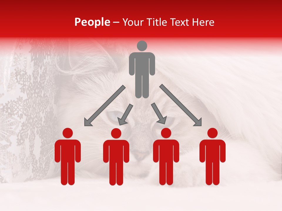 Lynx Girl Xmas PowerPoint Template