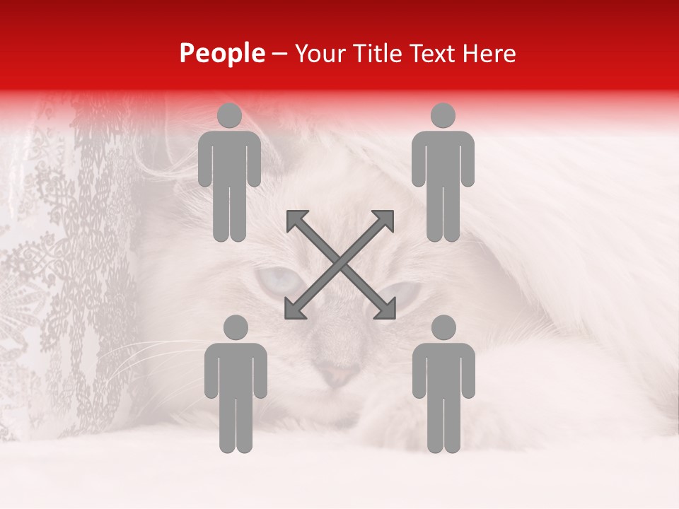 Lynx Girl Xmas PowerPoint Template