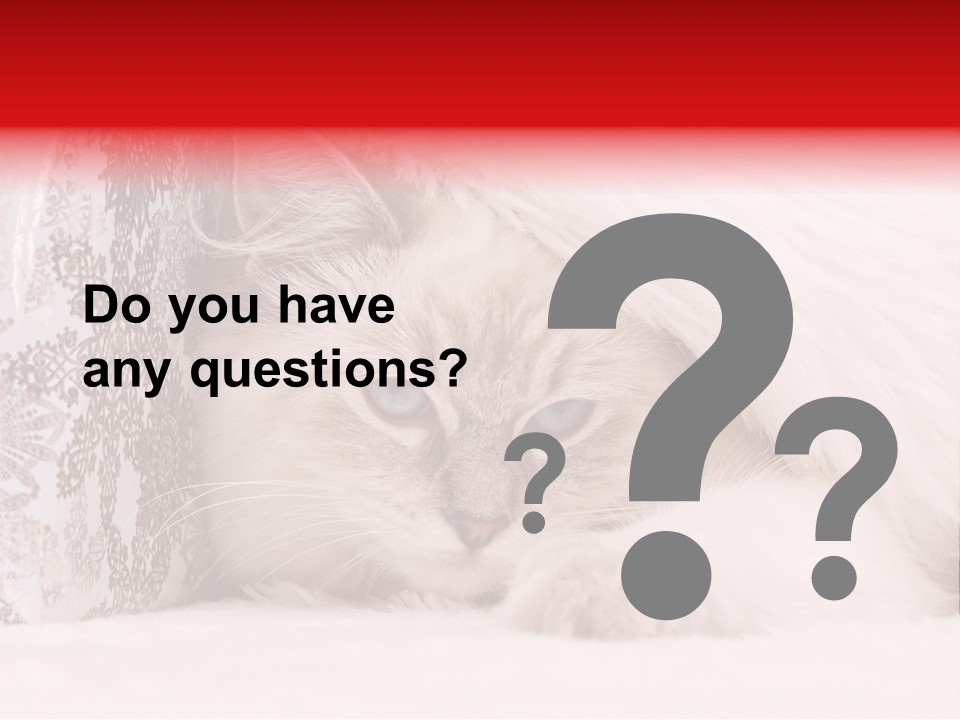 Lynx Girl Xmas PowerPoint Template