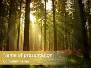 Rural Scenic Wilderness PowerPoint Template