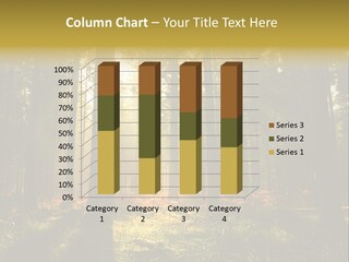 Rural Scenic Wilderness PowerPoint Template