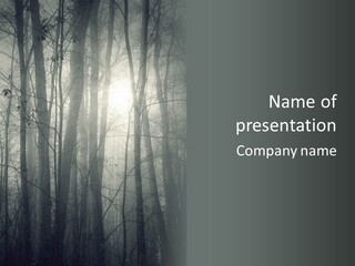 Wet Copy Season PowerPoint Template