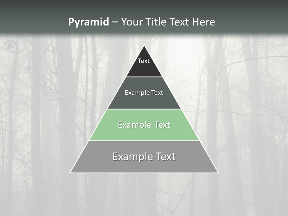 Wet Copy Season PowerPoint Template