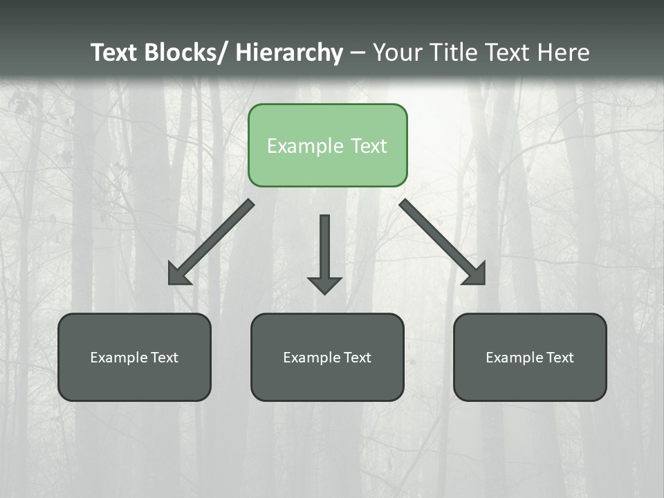 Wet Copy Season PowerPoint Template