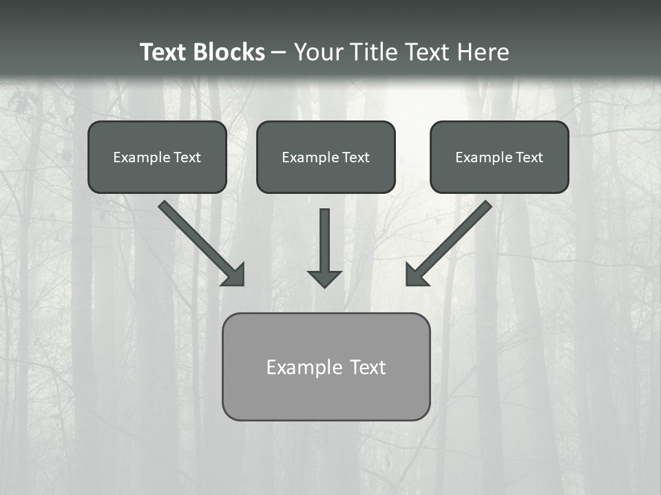 Wet Copy Season PowerPoint Template