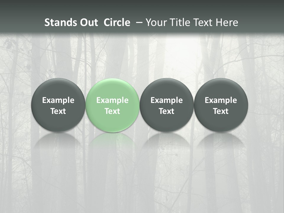 Wet Copy Season PowerPoint Template