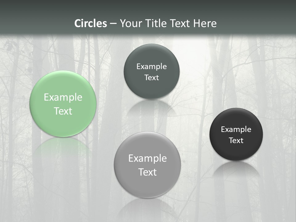 Wet Copy Season PowerPoint Template