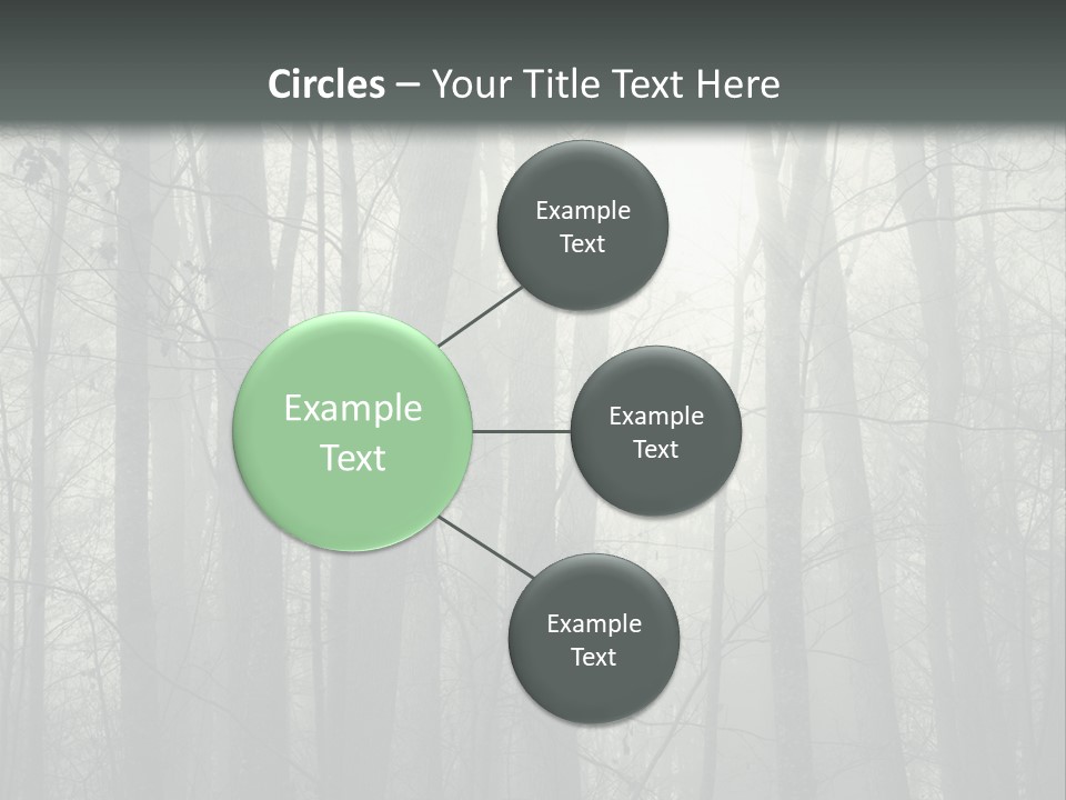 Wet Copy Season PowerPoint Template